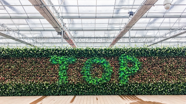 乐鱼全自动托管智能温室大棚