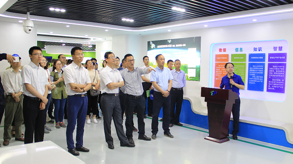 谢主任一行参观乐鱼展厅