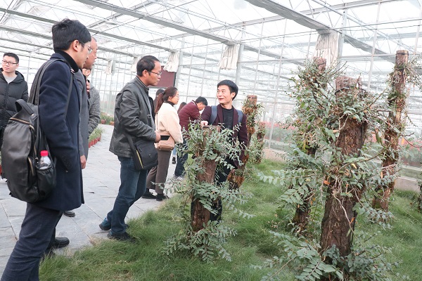 培训班参观乐鱼临浦基地