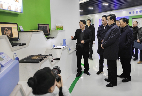 浙江省高兴夫副省长一行莅临浙江乐鱼股份有限公司参观调研