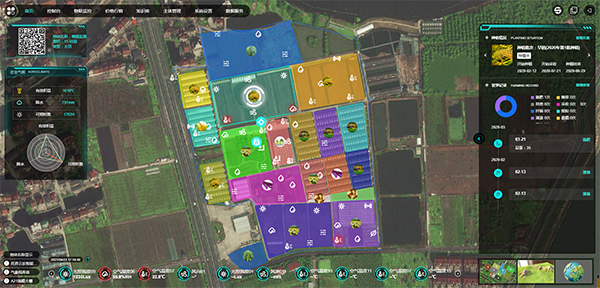 软件平台,推进农业农村新业态 软件平台,推进农业农村新业态