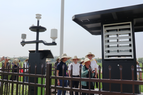 1659340842121671.jpg 6.jpg