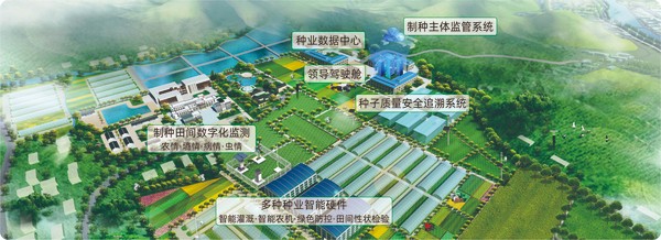 乐鱼数字种业创新应用基地