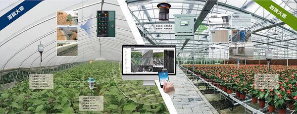 乐鱼设施农业创新应用基地