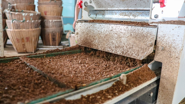 乐鱼打造的古林育秧工厂