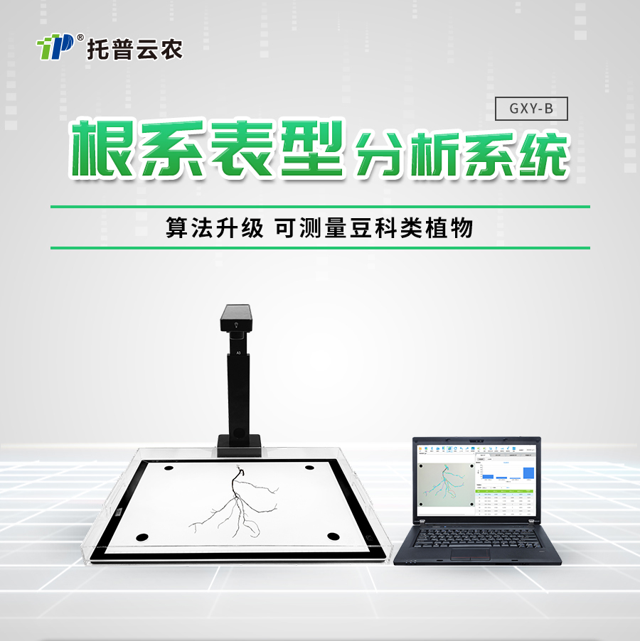 根系分析系统 根系分析系统