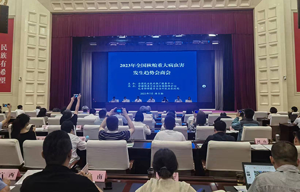 1689326754295838.jpg 1.jpg