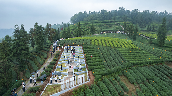 1695197184170701.jpg SEO用图4.jpg