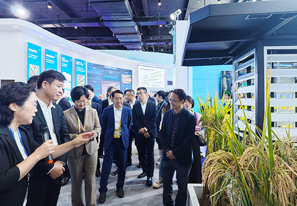 1699606491499693.jpg SEO用图6.jpg