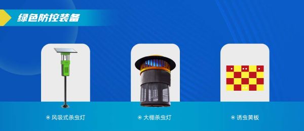 1699607579343866.jpg 6.jpg