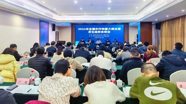 1702632442352128.jpeg 1.jpeg