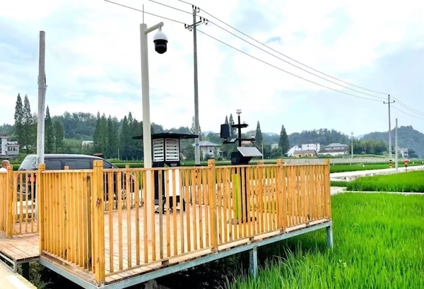 1711776817836807.jpg 临安太阳镇数字化高标准农田实景图.jpg