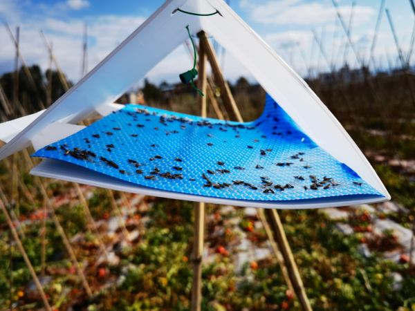 1718953227218672.png 2_副本.png