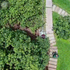 1719647011207688.gif 6.gif