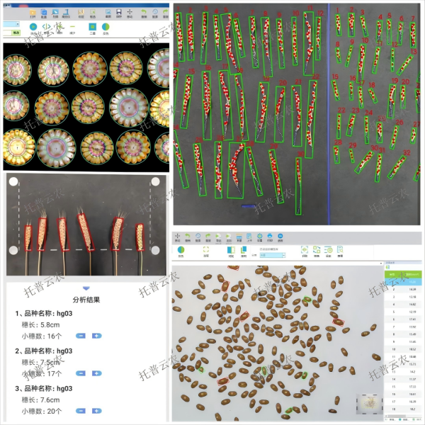 1721897797232676.png seo 2.png