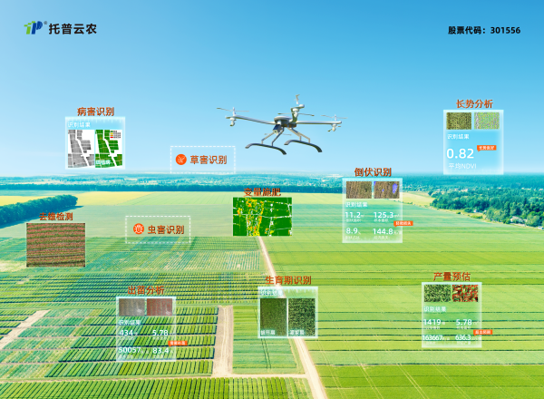 1732525459841955.png 11_副本.png