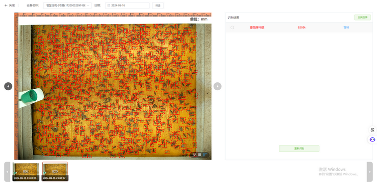 1735611932119113.png 3.诱捕番茄潜叶蛾820头.png