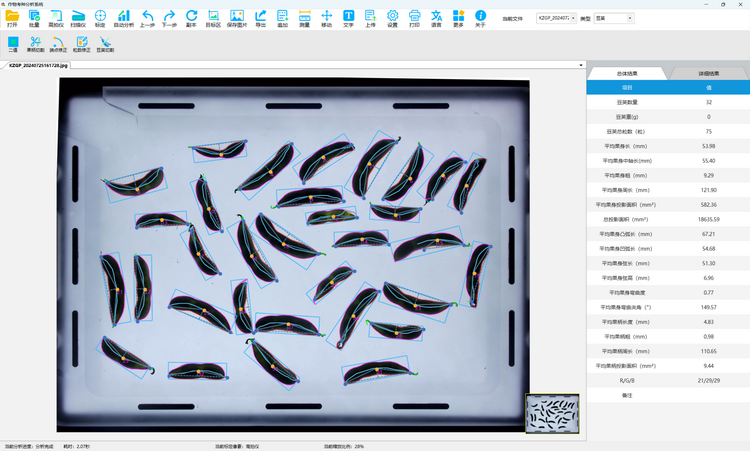 1. 豆荚表型测定 总结果.png