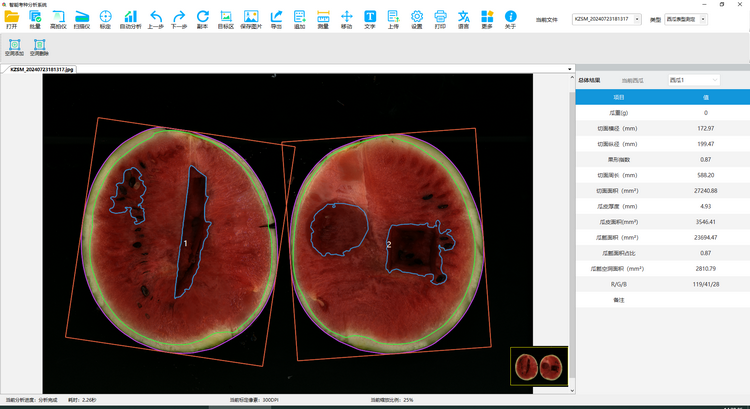 3. 西瓜表型测定（2）.png
